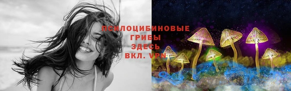 мяу мяу мука Армянск