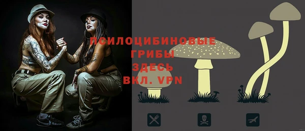 мяу мяу мука Армянск