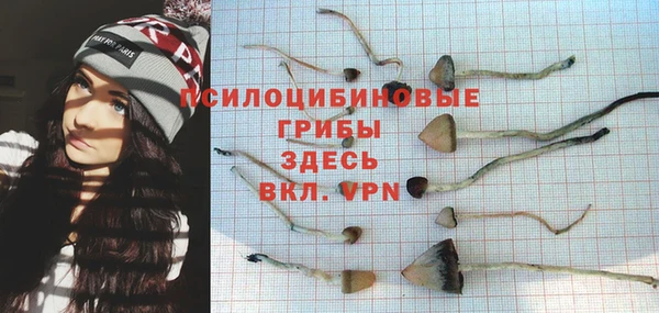 мяу мяу мука Армянск