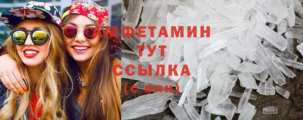 индика Данков