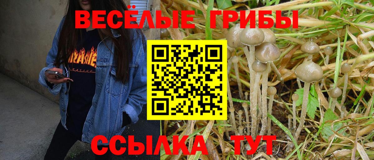 Радужный  Псилоцибиновые грибы Cubensis  Вход с VPN 